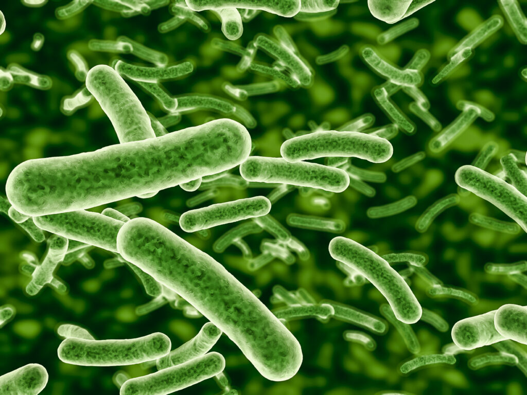 軍團菌的危害 軍團菌的危害