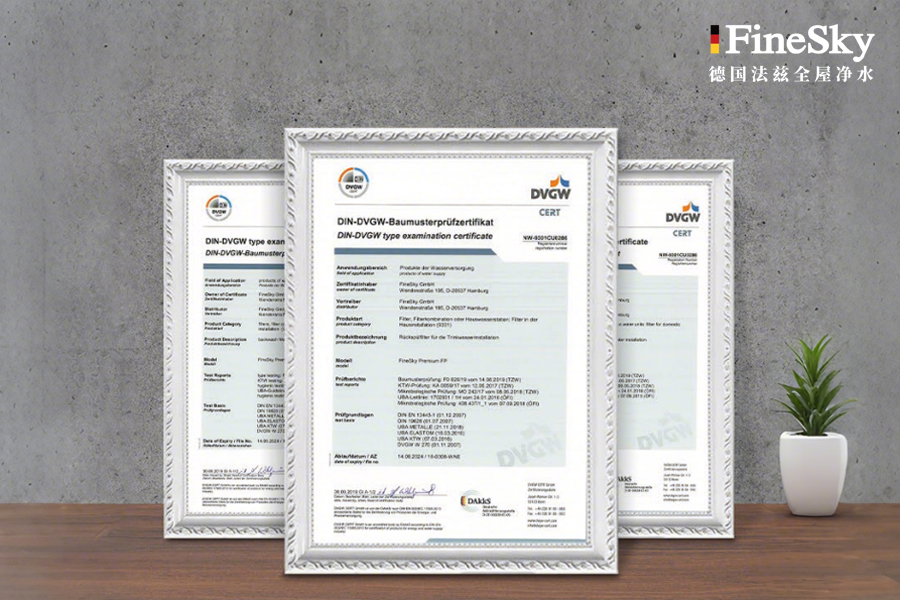 家用前置過濾器選購指南:100μm精度橫評,反沖式與直沖式哪款更省心?(圖2) 1 (2).jpg